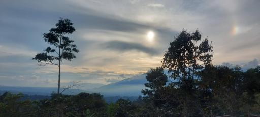 Estancia Café Cosecha Real - Housity