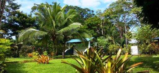 Private Villa on 2-Acres of Jungle Garden & Pool - Housity