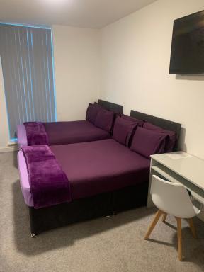 Bianca House - Housity