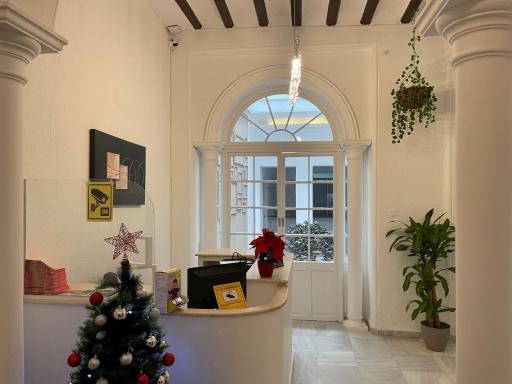 BF BOUTIQUE JEREZ - Housity