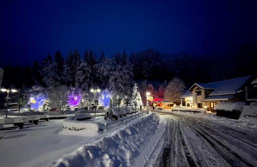 Hotel & Gasthaus Sterngrund - Housity
