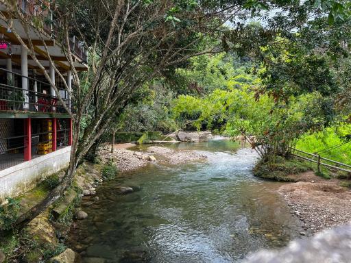 Ecohotel Las Pavas Norcasia Caldas - Housity