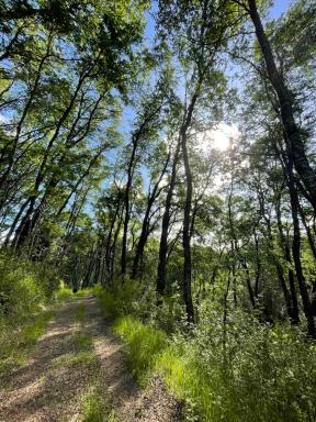 Refugio Nahuelbuta - Housity