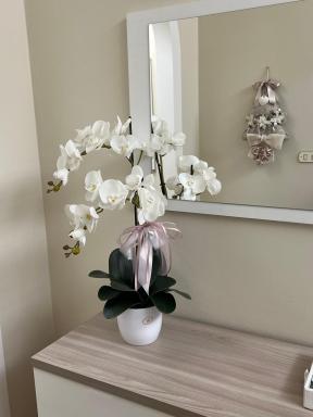 Casa vacanze l’orchidea - Housity
