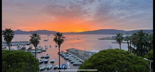 Palm croisette front de mer1 - Hizvo