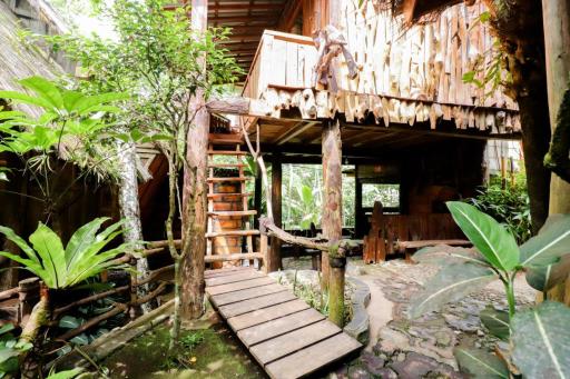 Rimbono Homestay - Housity