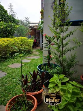 Casa de Mafer, Hostal, Arte y Café - Housity