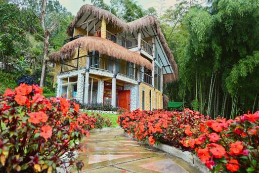 Bambu chalet - Housity