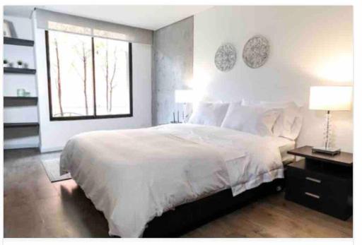 Acogedor y amplio apartamento perfecta ubicacion! - Housity