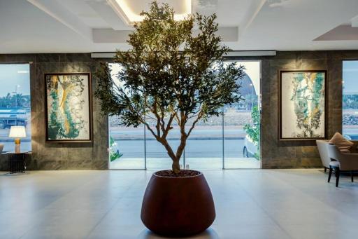 Viola Gardens Residence - Housity