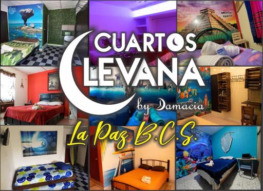 CUARTOS LEVANA LA PAZ - Housity