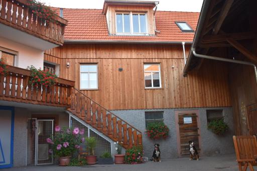 Ferienbauernhof Brandt - Housity