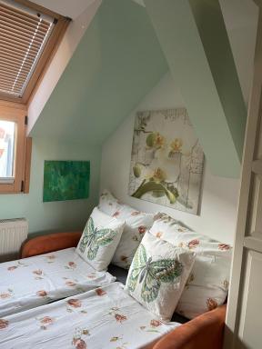 Grazer Schwalbe - Housity