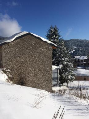 Luxurious mountain house - Housity