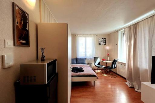 Cheerful studio room in wallisellen - Housity