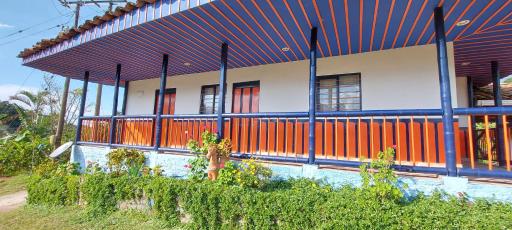 Finca Turistica La Betulia Sevilla - Housity