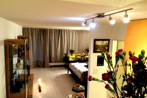 1.5 Room cosy Studio in Birmensdorf -Zurich- 16-1R - Housity