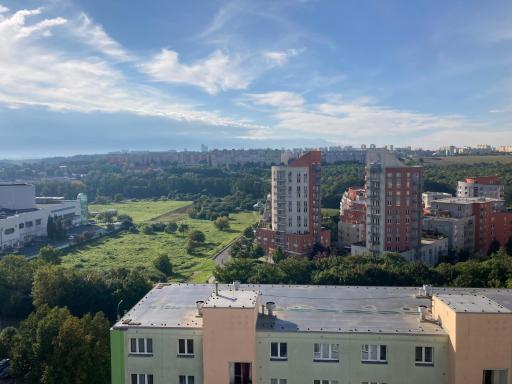 Private room in a shared park-side apartment with a great connection to the city center - Housity