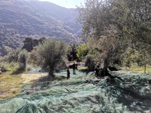 A casa di Natalia - Housity