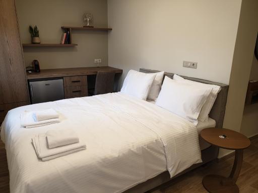 Olive Deluxe Room - Housity