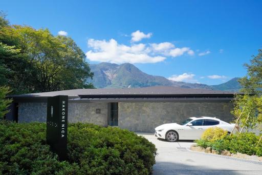 HAKONE NICA - Hizvo