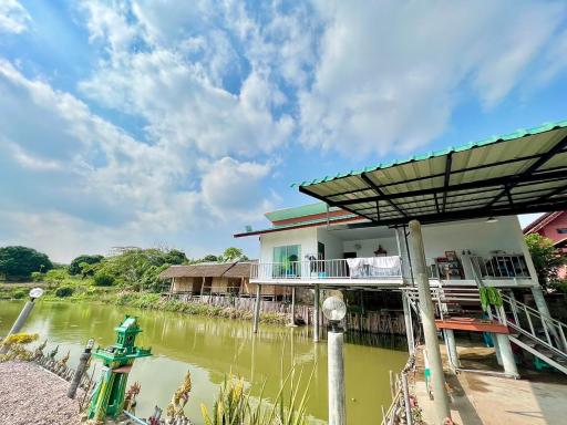เวียงสาโฮมสเตย์ - Housity