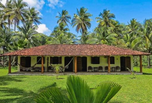 Casinha Jardim das Palmeiras - Housity