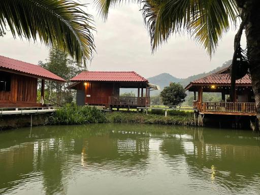 บ้านสวนวิวทุ่ง - Housity