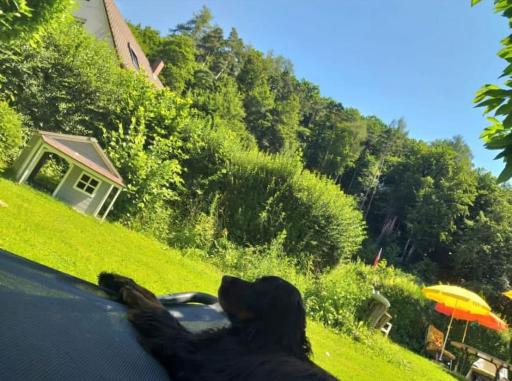 Ferienwohnung - Grüne Oase - Housity