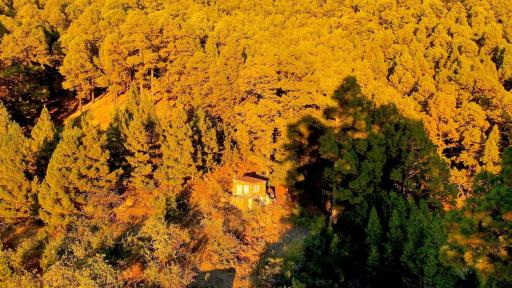 Tiny House Vogelnest - Housity