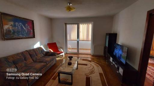 Apartament Ileana - Housity