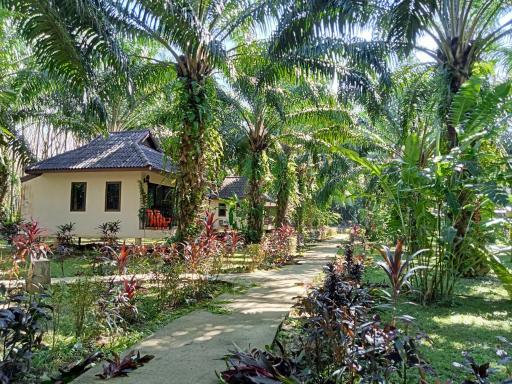Khao Sok Palm Garden Resort - Housity