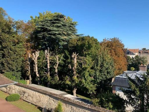 Studio calme, Grand parquet,Chateau,INSEAD - Housity