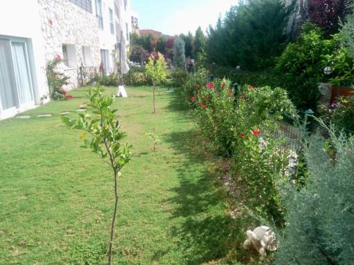 Cozy, modern duplex house with garden and shared swimming pool - Housity