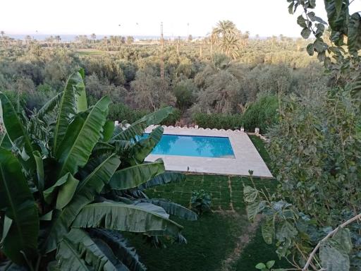 Haneen Field View - Housity