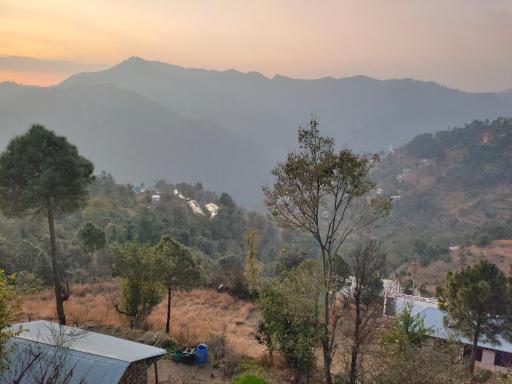 Sejal Homestay - Housity