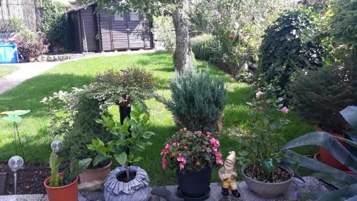 FeWo Weimar - Housity