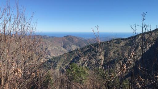 Casa „Pizzuti“ - Housity