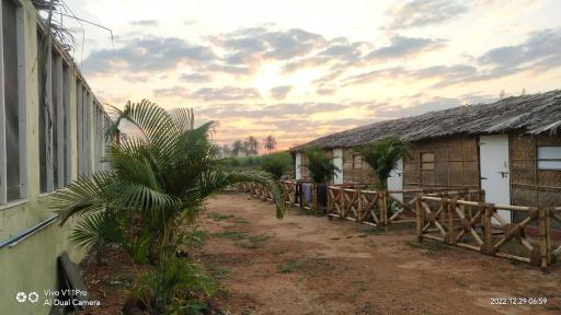 Taste Of Hampi Stay at Adventure - Housity