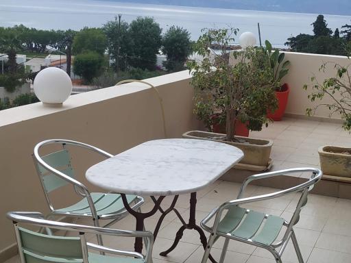 Family House - Housity