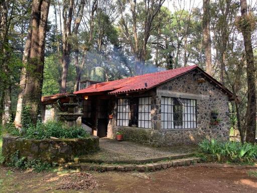 Hermosa cabaña en el bosque - Housity