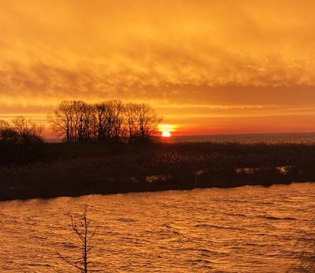Auszeit am Haffufer - Housity