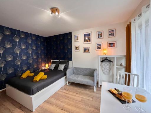 LE MULHOUSIEN, Studio proche centre-ville - Housity