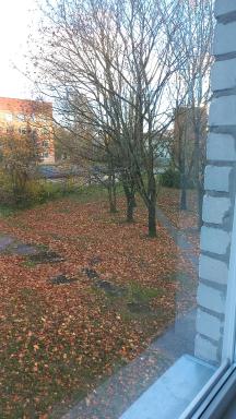 Отдых в приморском Силламяэ - Housity