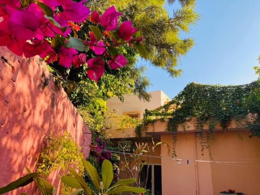 Exclusive Villa in Civil lines - Housity