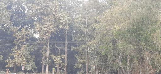 Premier Jim Corbett Home Stay - Housity
