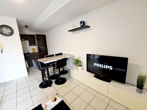 Agréable appartement T2 Centre ville - Hizvo