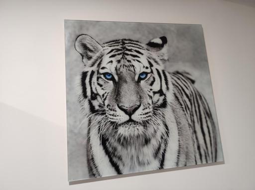Eye of the Tiger. Apartament w centrum Mrągowa. - Housity