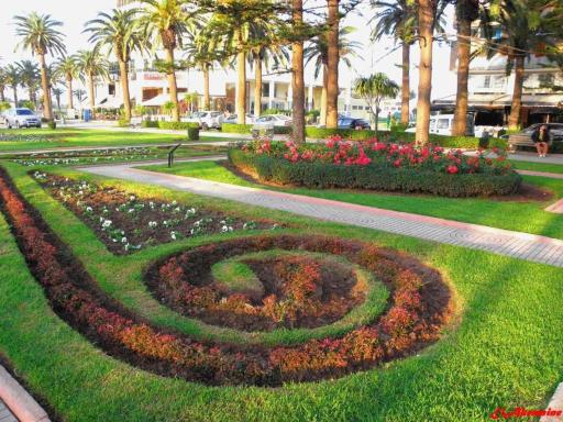 Parc Plaza studio - Housity