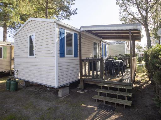 L Aloe Bleue - Bungalow Proche Ocean - Housity
